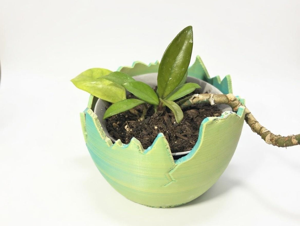 3D Printed Cracked Egg Planter – Modern Shell Bowl, Desk Organizer Tray